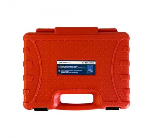 Набор фиксаторов для замены ГРМ BMW, Mini, PSA (N12, N14, R55, N42, N46) Хорекс Авто HZ 25.1.259SK — профессиональное автосервисное оборудование и инструменты для бизнеса